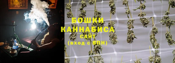 шишки Алексеевка